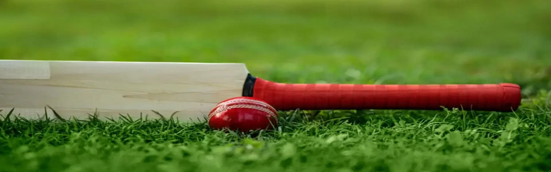 Synthetic cricket pitch