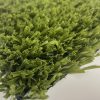 CRICKET WICKET WINTER COVER 40mm