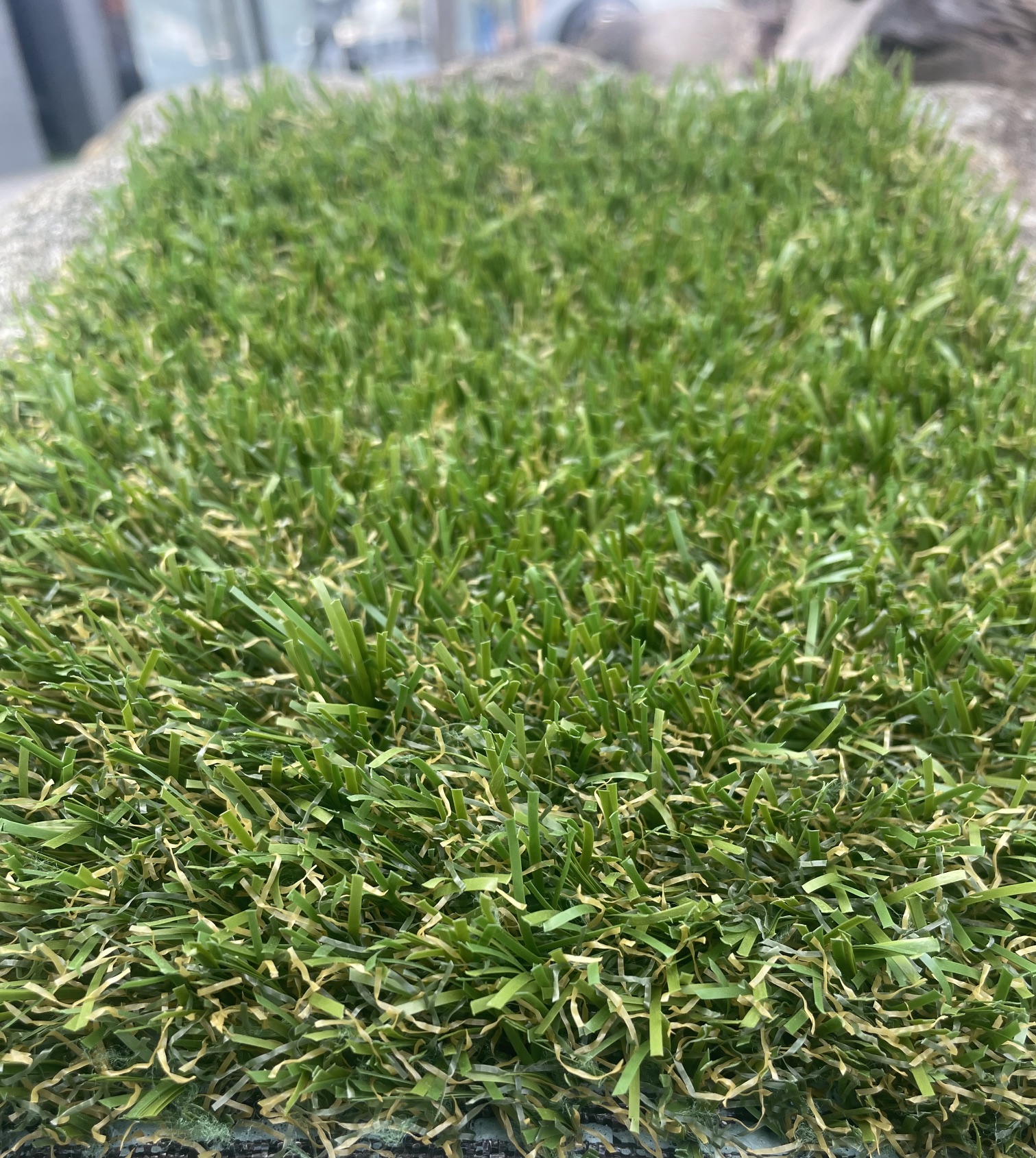 Mingo Artificial Grass $30 psm